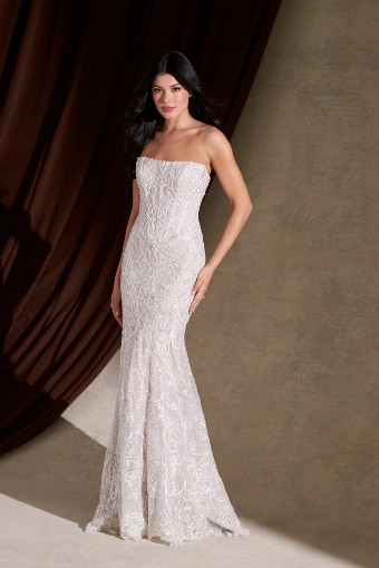Allure Bridals C841 #0 default Nude/Ivory/Champagne/Nude/Silver thumbnail