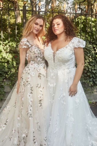 Madison James MJ900- Johnny #2 Ivory/Champagne/Multi thumbnail